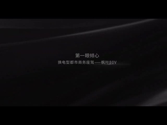 지리 단풍 잎 80V