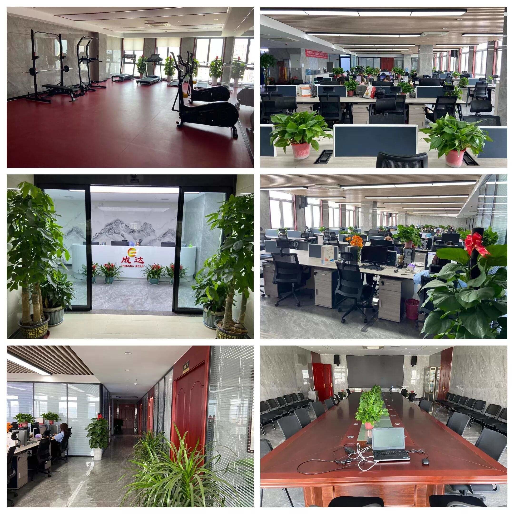 중국 HUNAN DECOMLLC SUPPLY CHAIN CO., LTD. 회사 프로필