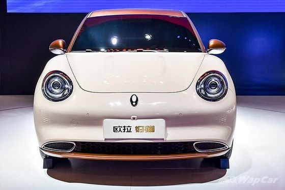 150 킬로미터 / Ｈ ECO 우호적 전기 자동차 400KM 오라 좋은 Cat 순수한 전기 자동차