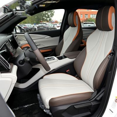 자동차 전기 자동차를 조종하는 LHD