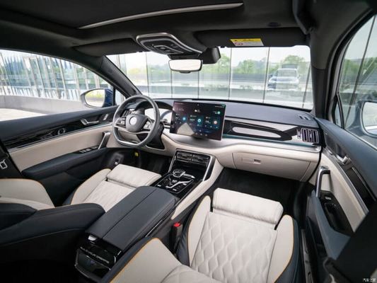 730Km 범위 순수한 전기 자동차