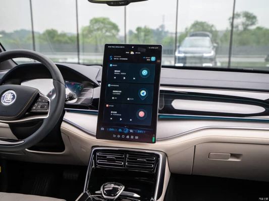 730Km 범위 순수한 전기 자동차