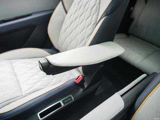 730Km 범위 순수한 전기 자동차