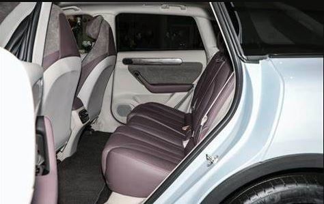 성인들을 위한 자동차 고속도 전기 자동차 SUV 뉴 에너지 링파오 C11