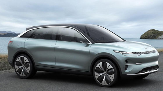 성인들을 위한 자동차 고속도 전기 자동차 SUV 뉴 에너지 링파오 C11