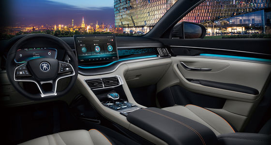 BYD ECO 우호적 전기 자동차