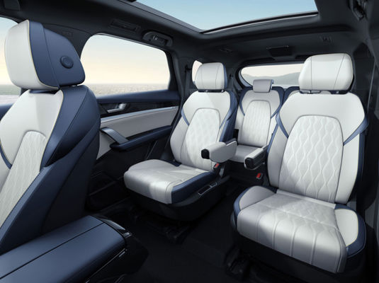 고속도 BYD 뉴 에너지 자동차