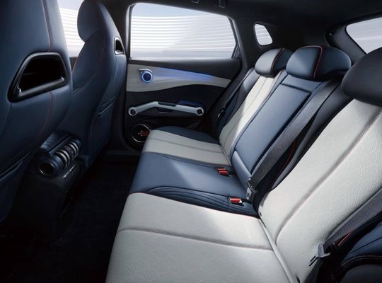 510 킬로미터 순수한 전기 자동차