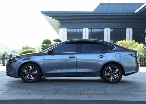 지적 중고 전기 자동차