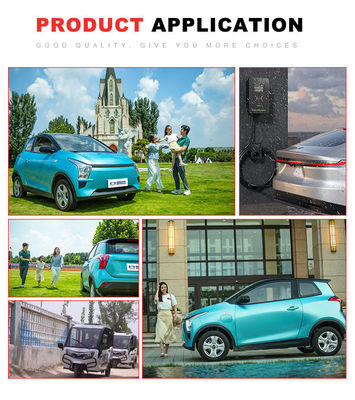 11KW 전기 차량 공급 시설 50HZ 가지고 다닐 수 있는 AC EV 충전기 IP65