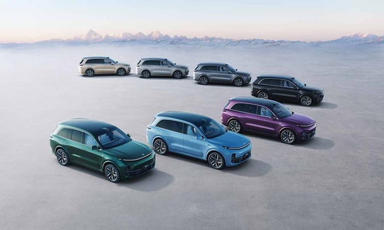 42.8kWh 배터리 6 자리 전기 SUV