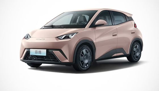 높은 성능 2023년 신형 Byd Seagull EV 완전 폐쇄형 4륜 전기차