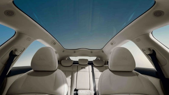 지지 LS6 최대 전력 575kW 최고 속도 252kmph 전기 스포츠 차량