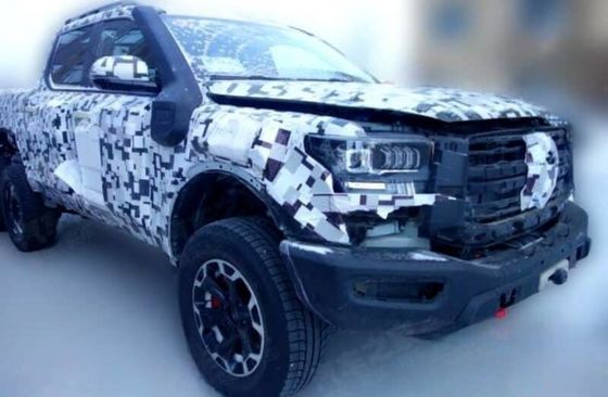 중국 픽업 트럭의 왕