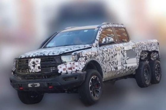 중국 픽업 트럭의 왕