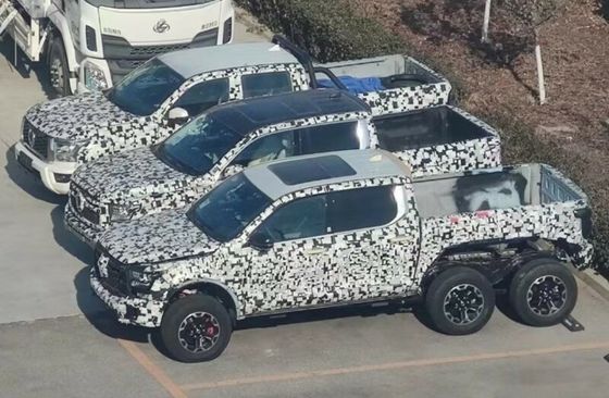 중국 픽업 트럭의 왕