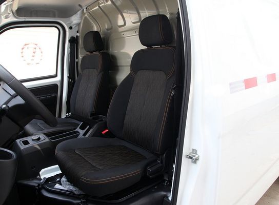 핀리스 돌고래 2023 지혜 전기 자동차 카리 프로포이 EV 전기 차량 가벼운 트럭 6.6m3 로딩 큐브