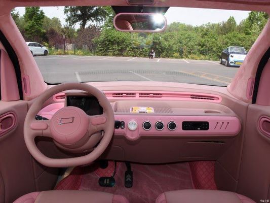 사전 판매 마이크로-에브 FAW 베스트운 포니 해치 120km 범위 20kw/27P.s 모터 파워 전기 3도어/4석 안전 디자인