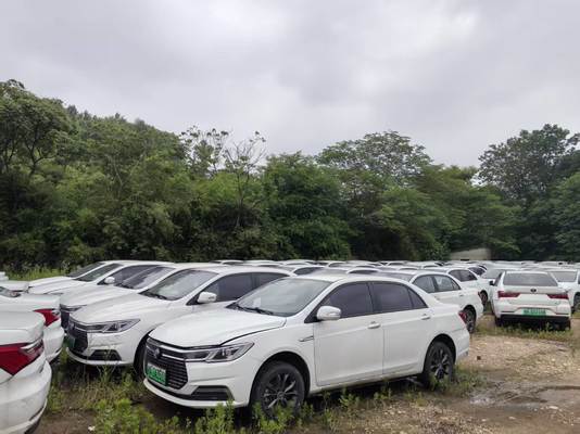 중고용 신에너지 차량 / BYD, 폭스바겐, 그레이트 월, 지일리, 리 오토, 샤오미 등 3자 검사 보고와 함께 2~5세 또는 6~10세